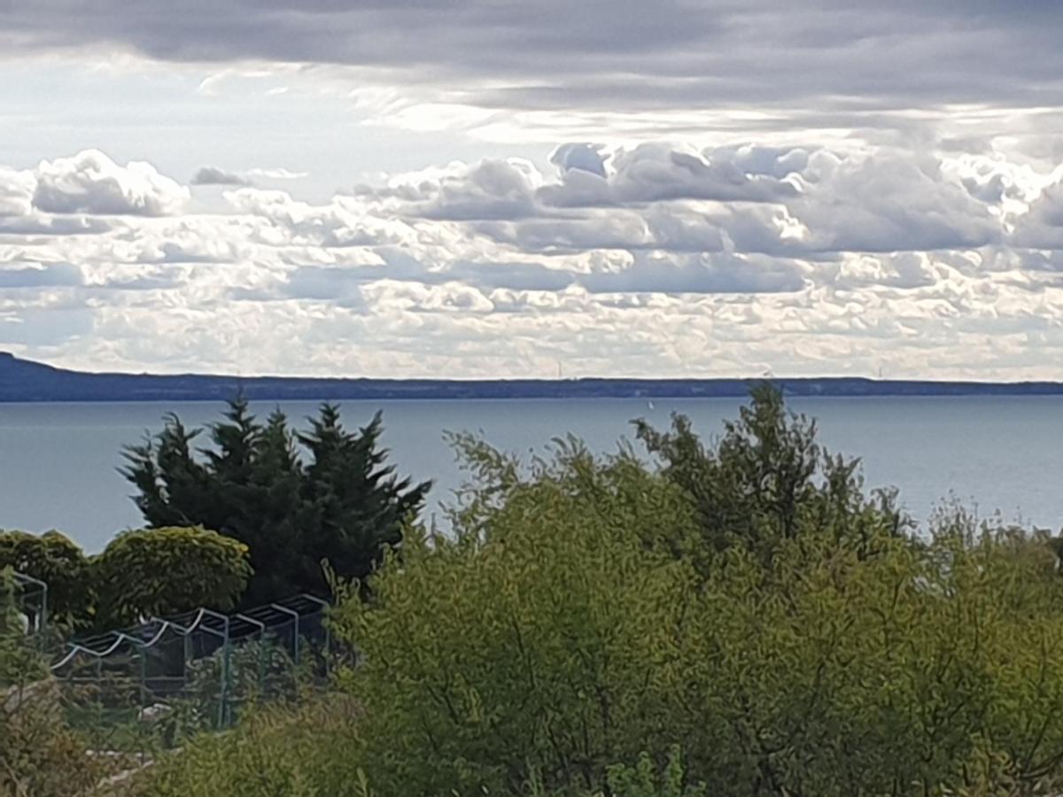 Buzavirag Apartmanhaz Balatonakali Dış mekan fotoğraf